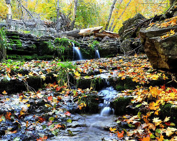 Workman's Autumn Treasures