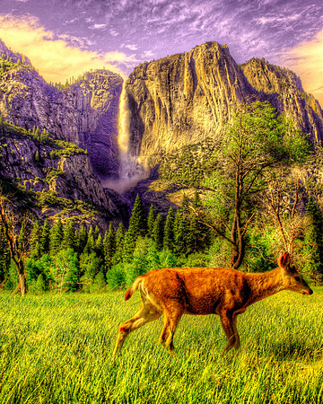 Yosemite Falls Deer