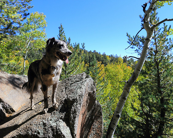 Spirit Of The Kachina Trail