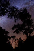 We All Travel Together
