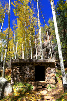 Autumn At Veit Springs
