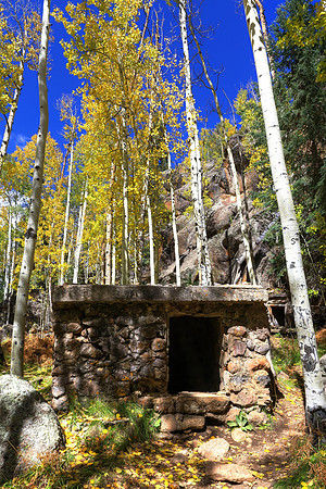 Autumn At Veit Springs