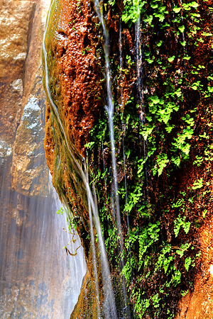 Water Is The Soul Of The Earth