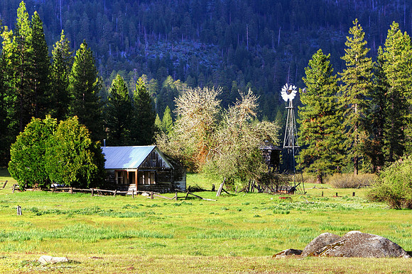 Yosemite Homestead